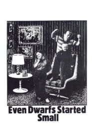 Even Dwarfs Started Small