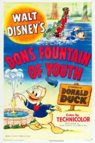 Don’s Fountain of Youth