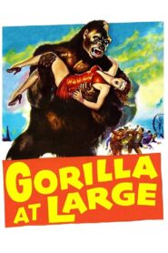 Gorilla at Large